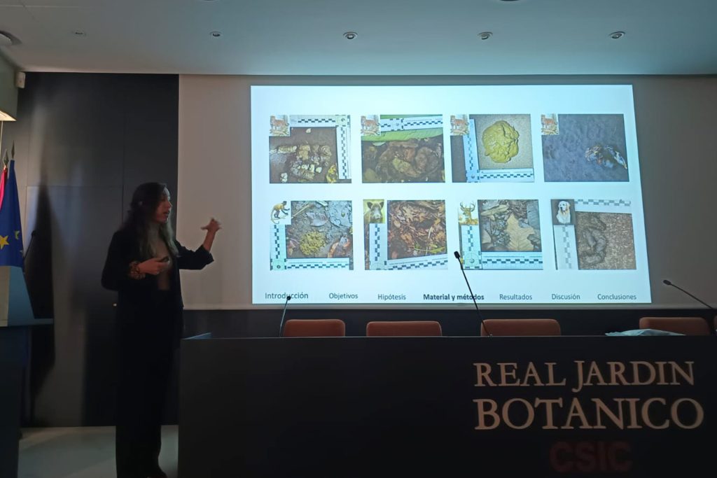 Laura Paunero del Río presenta su Tesis Final de Máster