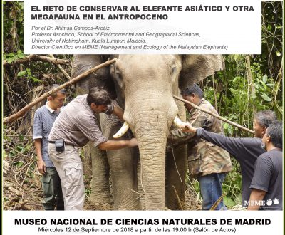 Conferencia: El reto de conservar al elefante asiático y otra megafauna en el antropoceno