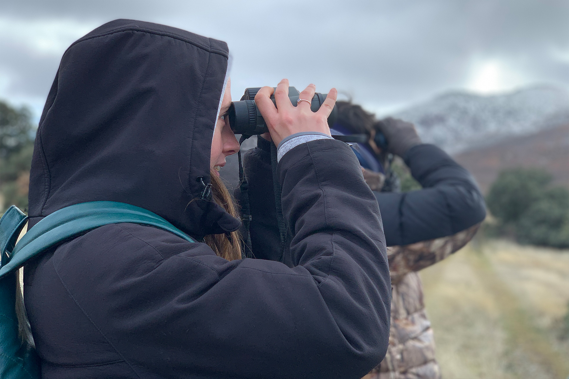 Esperas y Observación de fauna - Voluntariado Censo Lobo
