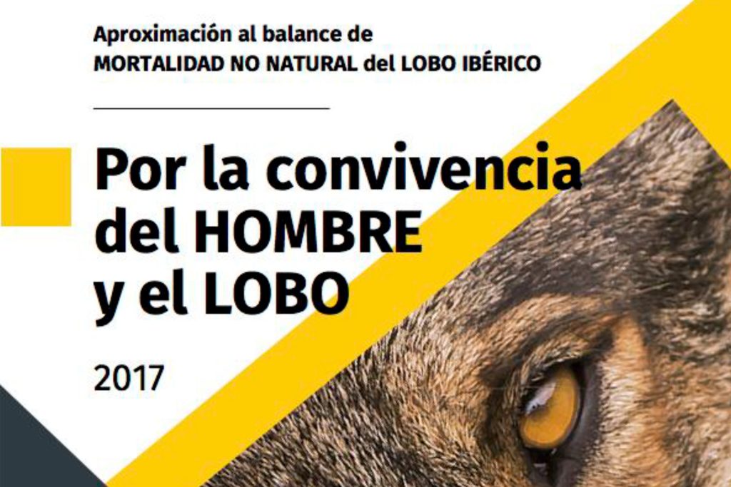 Informe mortalidad no natural del lobo ibérico 2017