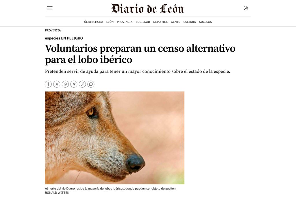 Noticias - Voluntariado Censo Lobo