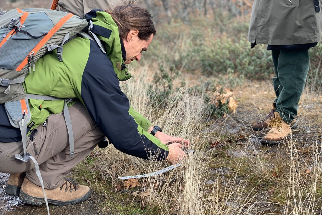 Trabajo de campo - Indicios de lobo - Voluntariado Censo Lobo