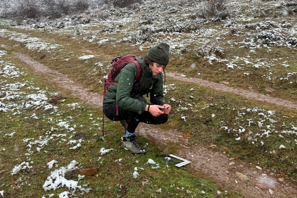 Trabajo de campo - Indicios de lobo - Voluntariado Censo Lobo