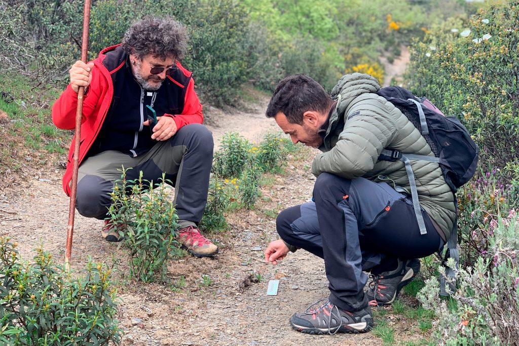 Trabajo de campo - Indicios de lobo - Voluntariado Censo Lobo