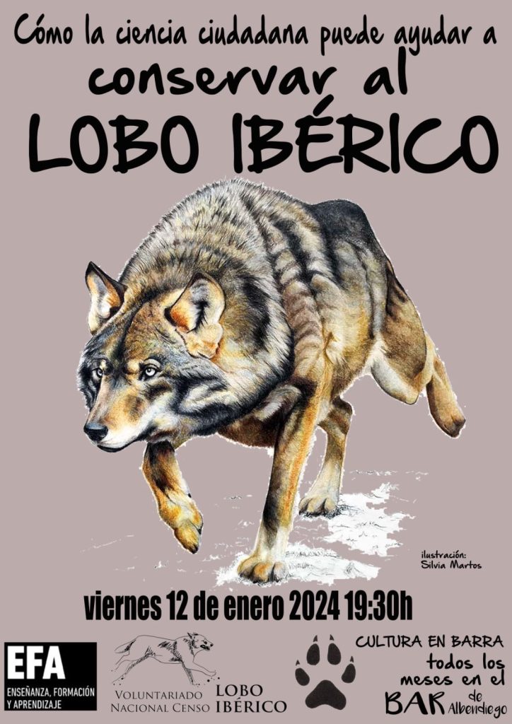 Charla divulgativa - Albendiego - Enero 2024 - Voluntariado Censo Lobo