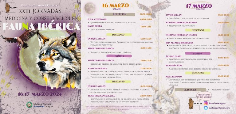 XXIII Jornadas de Avafes Zaragoza