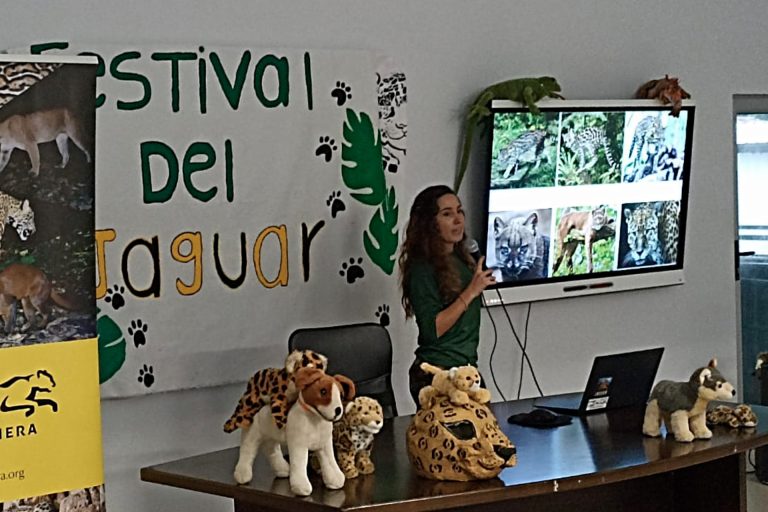 JaguarFest 2023 - Voluntariado Censo Lobo