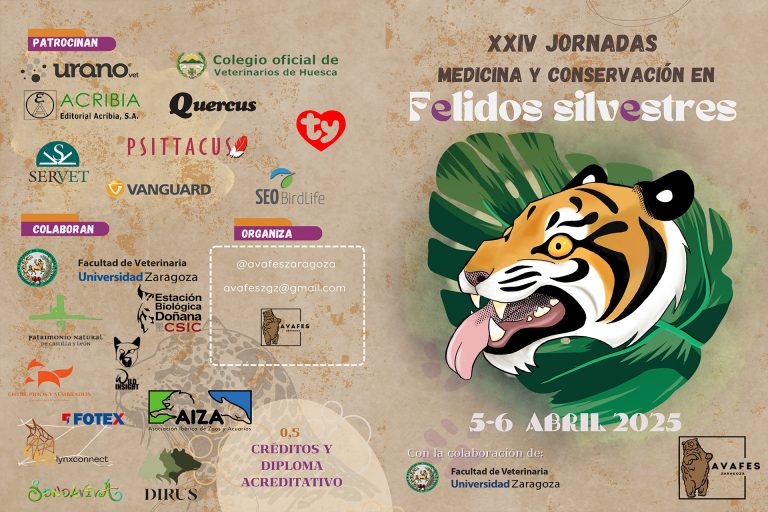 XXIV Jornadas de Avafes Zaragoza