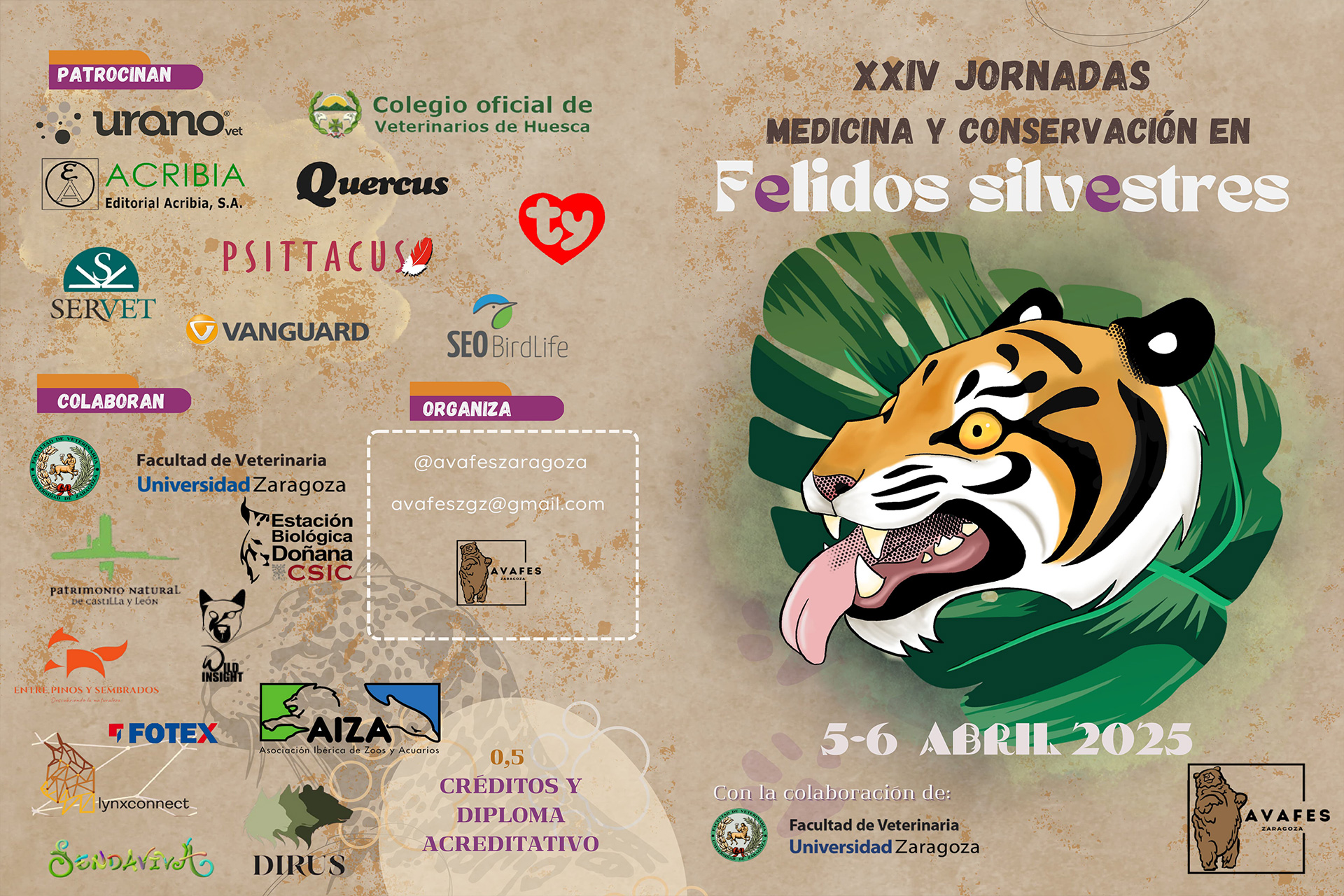 XXIV Jornadas de Avafes Zaragoza